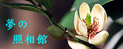 �ڤ��Ӭ��]
