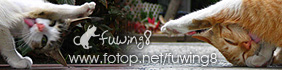 fuwing8