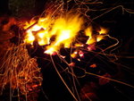 DSC01201