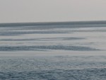 2004 Hokkaido
�k�N���J��-�B�t (3)