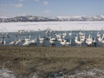 2004 Hokkaido
Swan Lake (1)