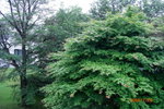 29072008_Hokkaido_Sahoro Resort Hotel00002