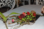 17112007_H K Flower Club at Tso Wo Hang Gathering00003