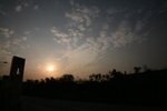 IMG_4954
