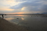 019