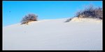 nEO_IMG_07N_0256