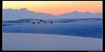 nEO_IMG_07N_0318