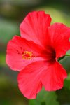 IMG_3710 (Medium)