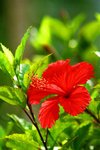IMG_3725 (Medium)