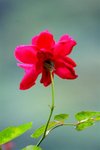 IMG_3875 (Large)