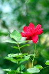 IMG_3876 (Large)
