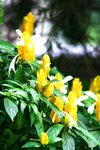 IMG_3881 (Large)