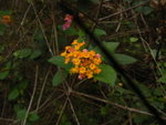 P1000332