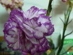 P1000027