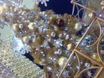 20071227539
