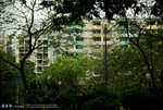 IMGP0561s1c