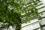 IMGP0562s1c