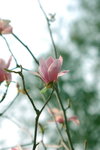 DSC_1686a