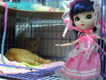 �ڪ����i�J�߿�~~~�\�n�j���r
�Ӥ� 015