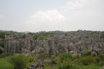 DSC_0242_resize