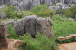 DSC_0243_resize