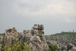 DSC_0274_resize