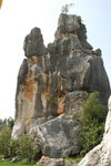 DSC_0295_resize
