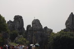 DSC_0303_resize