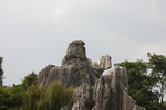 DSC_0311_resize