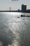 DSC_0041