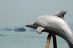 DSC_8056A