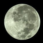 DSF_7479