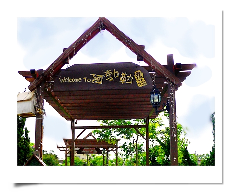2005桃園「鄉村阿勃勒」