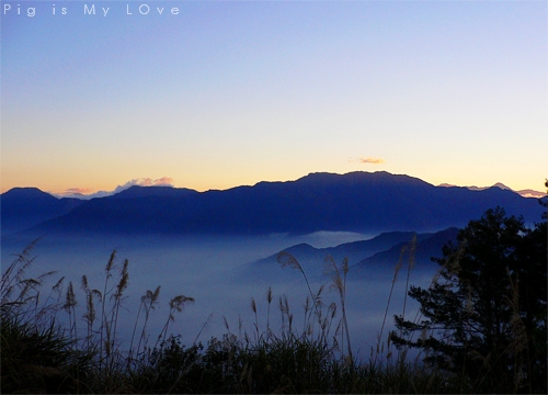 2005阿里山