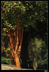 IMG_2551