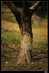 IMG_2552