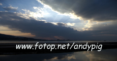 www.fotop.net/andypig