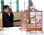 DSC00132b