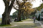 DSC01888a