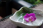 DSC08600a