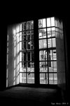 DSC08842b
