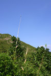 IMG_7625_a