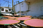 �ν��I