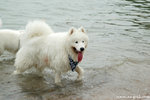 DSC_6176-a