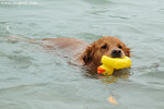DSC_6191-a