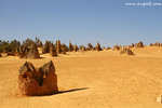 DSC_0114-a