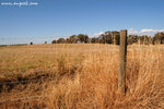 DSC_0670-a