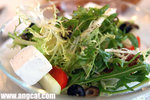 Greek Salad�ܲM�s�C