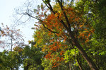 DSC_1292_a