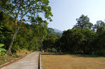 DSC_1366_a